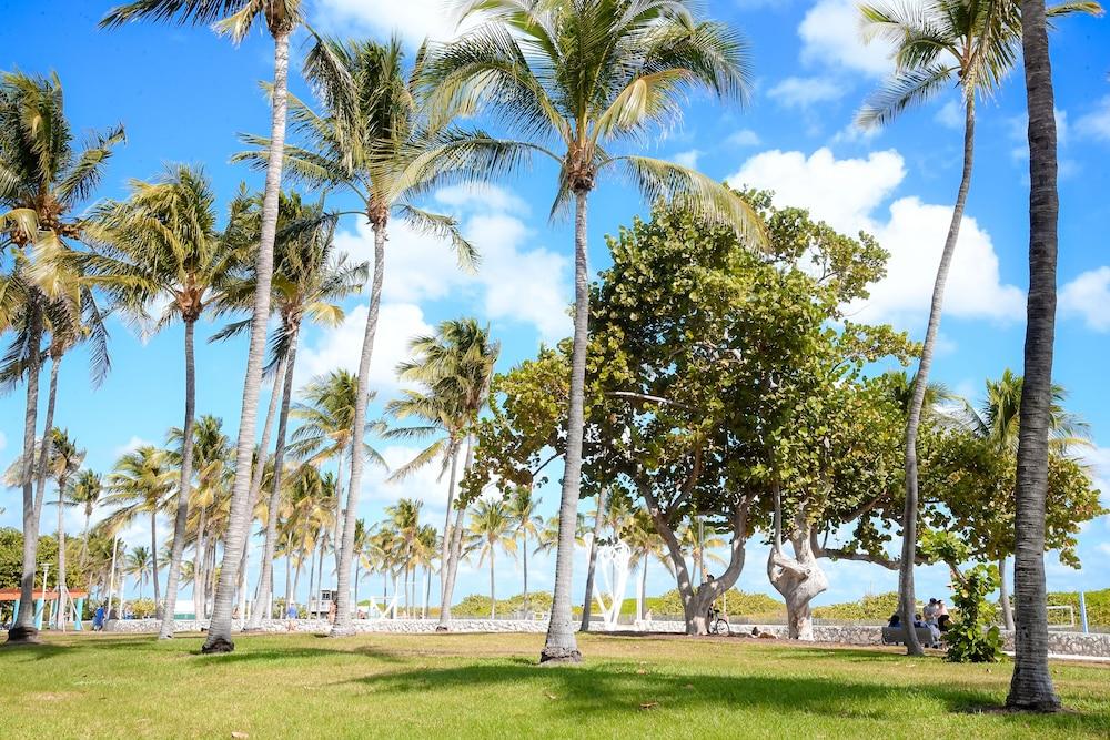 Ithaca Lejlighedshotel Miami Beach Eksteriør billede